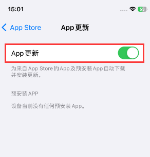 雅江苹果15维修中心如何让iPhone15APP自动更新