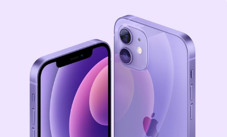 雅江苹果手机维修分享紫色版iPhone 12有什么技术亮点 