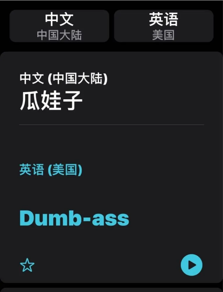 雅江苹果手机维修分享iOS14的“翻译太懂了”怎么用 